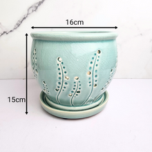 Load image into Gallery viewer, The Leaferie Liane orchid pot with holes and matching tray. ceramic material