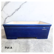 Load image into Gallery viewer, Bonsai Flowerpot (Series 61) Rectangular