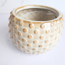 Load image into Gallery viewer, The Leaferie Cedro beige ceramic pot. small planter