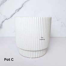 Load image into Gallery viewer, Sonnet Flowerpot (3 Colours)