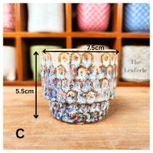 Load image into Gallery viewer, Petit Flowerpots (Series 7)