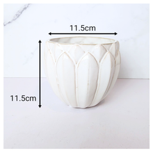 Load image into Gallery viewer, Everly Flowerpot