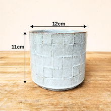Load image into Gallery viewer, Rory Flowerpot