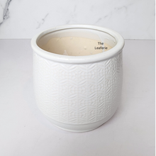 Load image into Gallery viewer, The Leaferie Nordman white ceramic pot with small imprinted design.