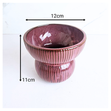 Load image into Gallery viewer, Scarva ceramic planters with ribbed design on a white background, featuring the Leaferie brand.