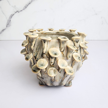 Load image into Gallery viewer, The Leaferie Handmade Moti Flowerpot. ceramic material