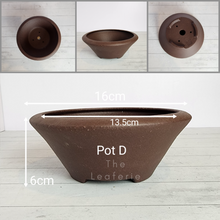 Load image into Gallery viewer, The Leaferie Tally Bonsai pot series 1 . 4 designs .front view o f Pot D