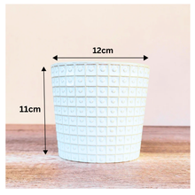 Load image into Gallery viewer, Patrice Flowerpot