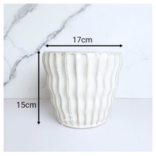 Load image into Gallery viewer, Quin Flowerpot