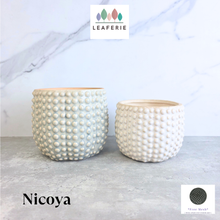 Load image into Gallery viewer, Nicoya Flowerpot