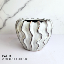 Load image into Gallery viewer, The Leaferie AS-Is May 2024. 12 pieces ceramic pots