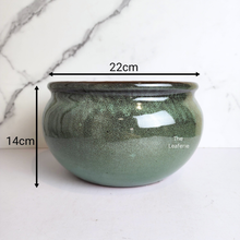 Load image into Gallery viewer, The Leaferie Acacia big pot without drainage holes. ceramic material suitable for fish