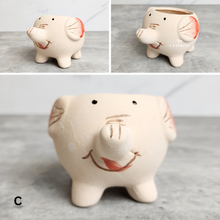 Load image into Gallery viewer, The Leaferie Allie Animal Series 3. 6 designs ceramic mini pots. Design C