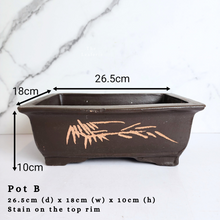 Load image into Gallery viewer, The Leaferie Asi-is Pots Nov and dec 24. 9 items.