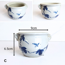Load image into Gallery viewer, The Leaferie Petit Allegra Serie 6. 4 designs ceramic pot