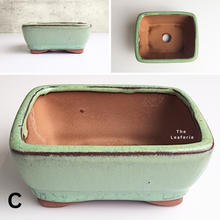 Load image into Gallery viewer, The Leaferie Bonsai Series 33 Flowerpot. 4 colours rectangular pot. pot C