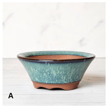 Load image into Gallery viewer, Petit Bonsai Flowerpot (Series 10)