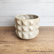 Load image into Gallery viewer, The Leaferie Antonia ceramic pot . 3 designs. Pot A