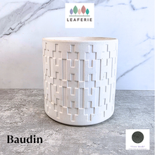 Load image into Gallery viewer, Baudin Flowerpot
