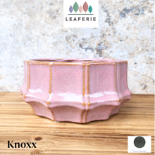 Load image into Gallery viewer, Knoxx Shallow Flowerpot