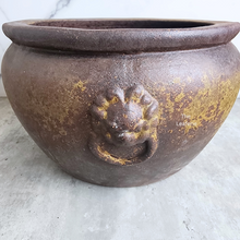 Load image into Gallery viewer, The Leaferie Lorelei no drainage hole suitable for fish bowl.