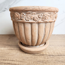 Load image into Gallery viewer, The Leaferie Philomel terracotta pot with tray.