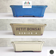 Load image into Gallery viewer, Petit Bonsai Flowerpot (Series 4) Rectangular