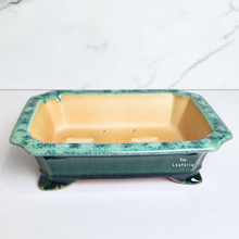 Load image into Gallery viewer, The Leaferie Bonsai Tally Series 7. green rectangular pot.