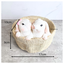Load image into Gallery viewer, The Leaferie Hoppi Rabbit bunny pot. resin material.