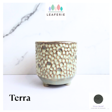 Load image into Gallery viewer, Terra Flowerpot