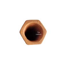 Load image into Gallery viewer, The Leaferie self watering terracotta stick.