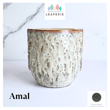 Load image into Gallery viewer, Amal Flowerpot