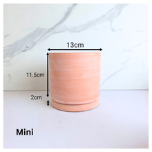 Load image into Gallery viewer, Terracotta D Flowerpot (3 sizes)