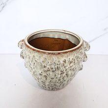 Load image into Gallery viewer, The Leaferie Meadow ceramic pot beige colour