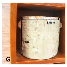 Load image into Gallery viewer, Petit Flowerpots (Series 3)