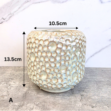 Load image into Gallery viewer, Olivia Iridescent Flowerpot (3 sizes)