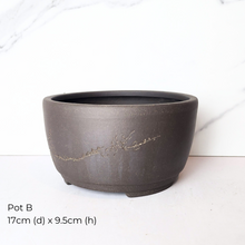 Load image into Gallery viewer, The Leaferie As-Is Pot April 25. 9 items