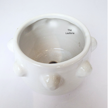 Load image into Gallery viewer, The Leaferie Salo white ceramic pot with studs.