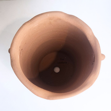 Load image into Gallery viewer, The Leaferie Yucca tall terracotta pot.