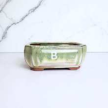 Load image into Gallery viewer, The Leaferie Bonsai Series 55 rectangular bonsai pots. ceramic material 6 colours