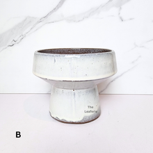 Load image into Gallery viewer, The Leaferie Luna Flowerpot . 3 colours ceramic material