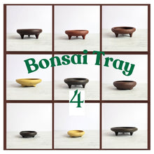 Load image into Gallery viewer, Petit Bonsai Tray / flowerpot (Series 4)
