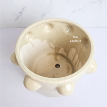 Load image into Gallery viewer, The Leaferie Eden white ceramic pot with studs