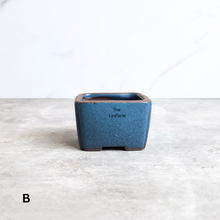 Load image into Gallery viewer, The Leaferie Petit Bonsai Series 77 (4 colours) square ceramic material