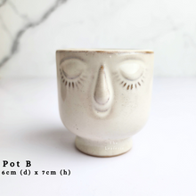 Load image into Gallery viewer, The Leaferie As-Is April 2024 flowerpots