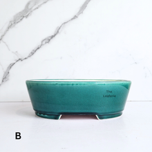 Load image into Gallery viewer, The Leaferie Bonsai Tally series 10 oval bonsai pot. blue and green colour . ceramic material