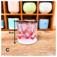 Load image into Gallery viewer, Petit Flowerpots (Series 6)