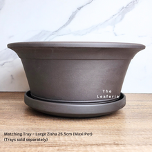 Load image into Gallery viewer, The Leaferie ZIsha Bonsai Pot Series 36. 2 sizes.