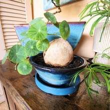 Load image into Gallery viewer, Bonsai Flowerpot (Series 51) 8 colours