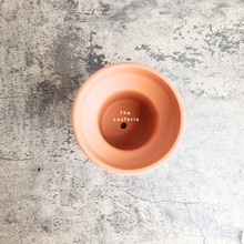 Load image into Gallery viewer, The Leaferie Yara terracotta pot with tray